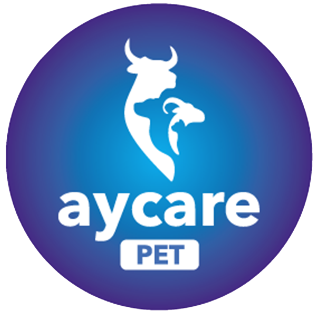AYAZ PHARMA