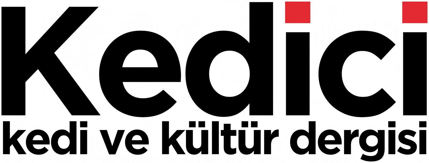 Kedici
