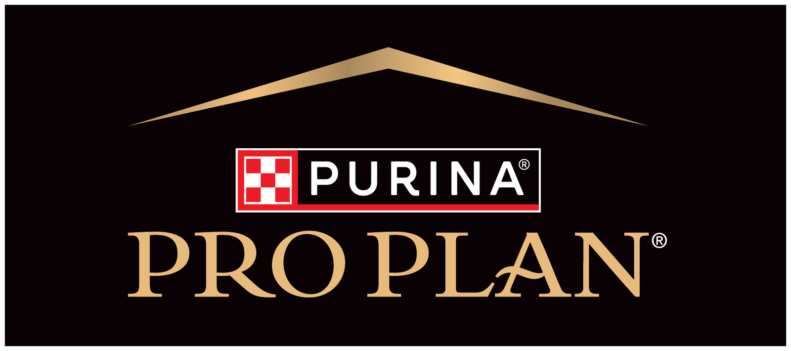 Pro Plan