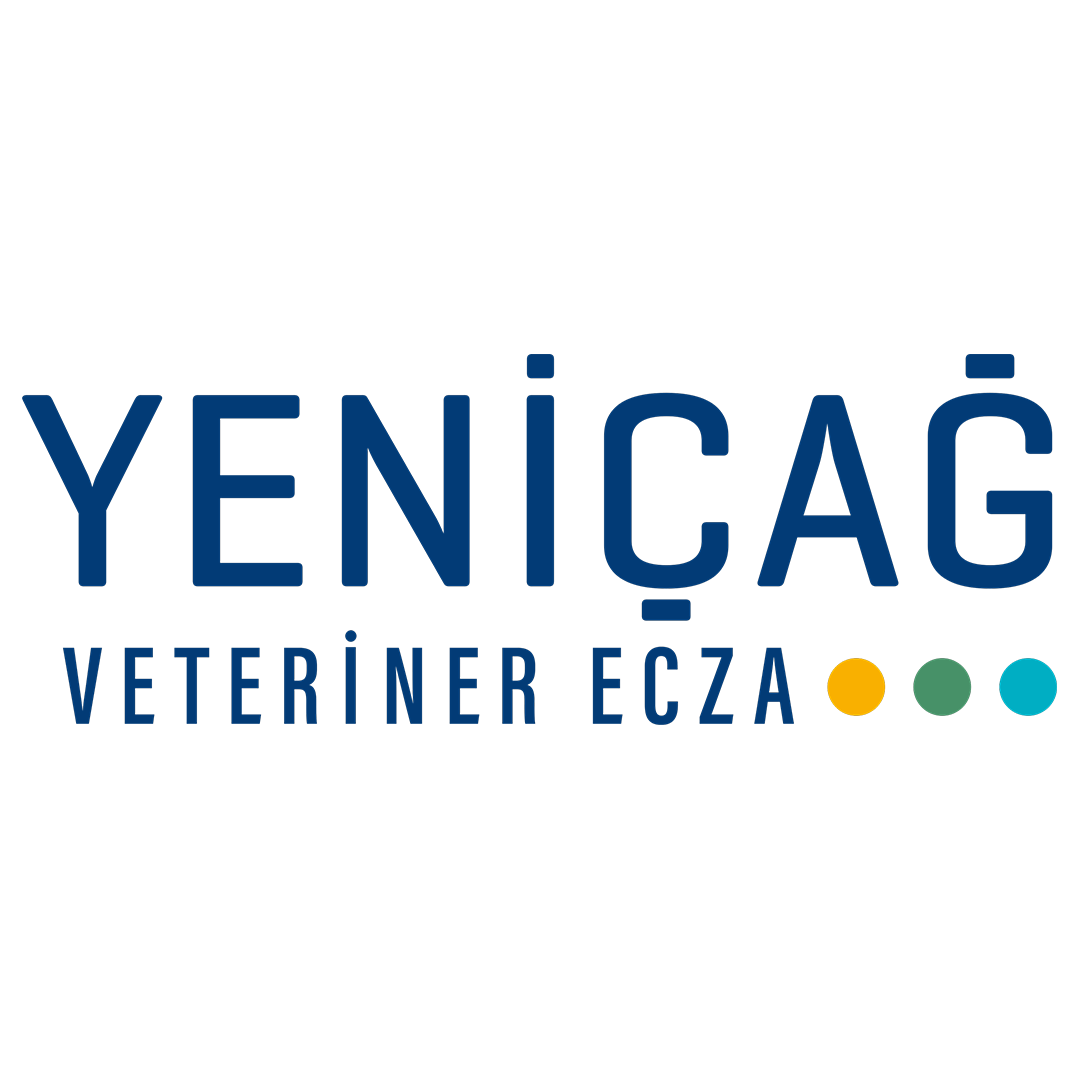 YENİÇAĞ